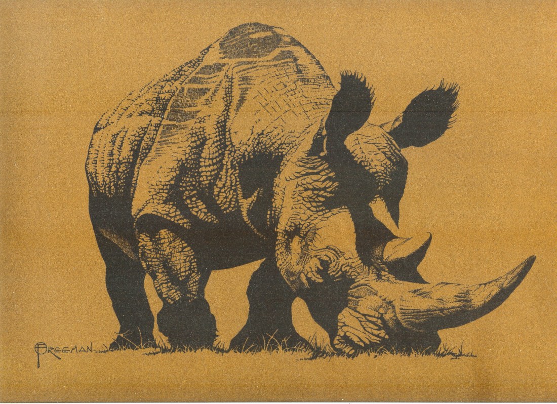 Gary_Freeman_Illustration_Rhino
