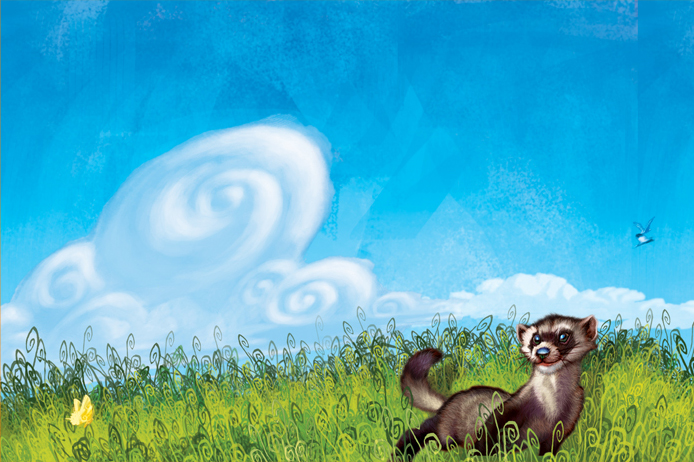 Gary_Freeman_childrens_Illustration_Ferret2